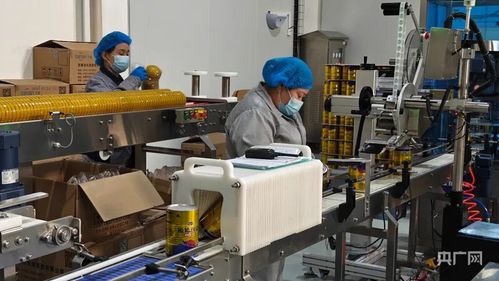 科技創(chuàng)新驅(qū)動產(chǎn)業(yè)升級 探索阜康市網(wǎng)絡科技領域的雙輪驅(qū)動綠色發(fā)展路徑