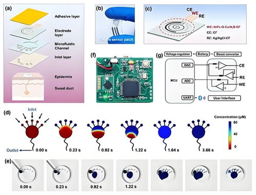 中科數惠以網絡科技賦能，成功助力中西醫結合糖尿病防治系統創新